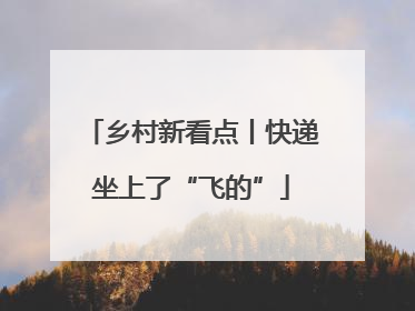 乡村新看点丨快递坐上了“飞的”