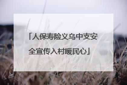 人保寿险义乌中支安全宣传入村暖民心