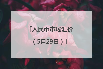 人民币市场汇价（5月29日）