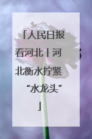 人民日报看河北丨河北衡水拧紧“水龙头”