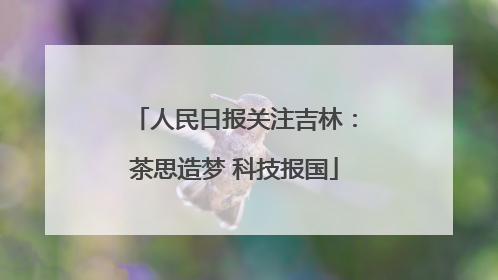 人民日报关注吉林：茶思造梦 科技报国