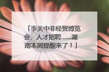 事关中非经贸博览会、人才招聘……湖南本周提醒来了！