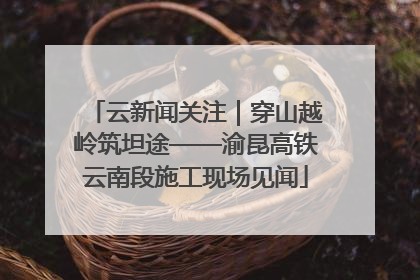 云新闻关注｜穿山越岭筑坦途——渝昆高铁云南段施工现场见闻