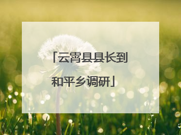 云霄县县长到和平乡调研