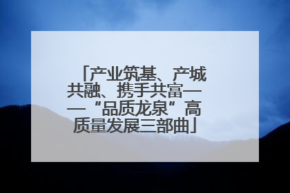 产业筑基、产城共融、携手共富——“品质龙泉”高质量发展三部曲