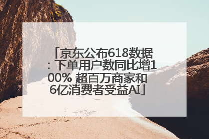 京东公布618数据：下单用户数同比增100% 超百万商家和6亿消费者受益AI