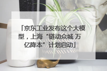 京东工业发布这个大模型，上海“链动众城 万亿降本”计划启动