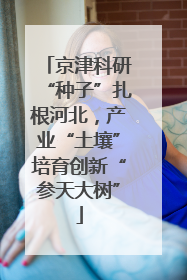 京津科研“种子”扎根河北，产业“土壤”培育创新“参天大树”