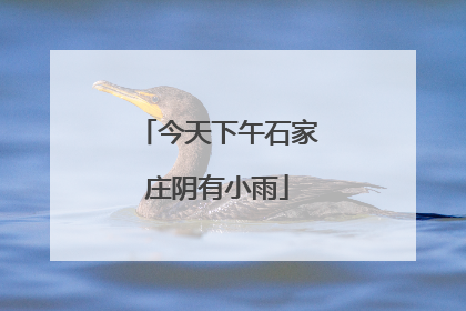 今天下午石家庄阴有小雨