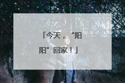 今天，“阳阳”回家！