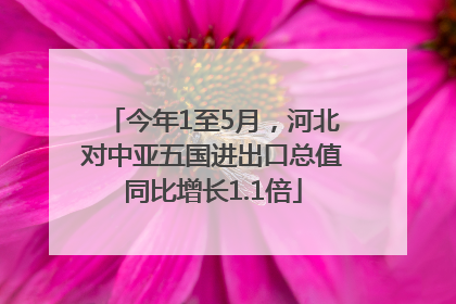 今年1至5月，河北对中亚五国进出口总值同比增长1.1倍