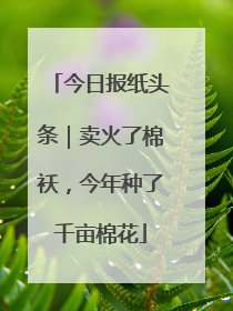 今日报纸头条｜卖火了棉袄，今年种了千亩棉花