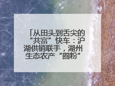 从田头到舌尖的“共富”快车：沪湖供销联手，湖州生态农产“圈粉”大上海