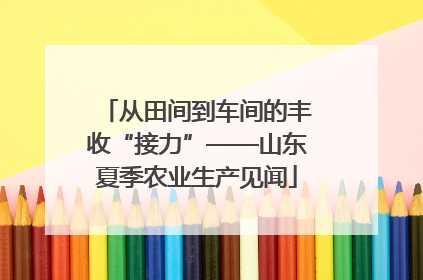 从田间到车间的丰收“接力”——山东夏季农业生产见闻