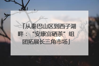 从秦巴山区到西子湖畔：“安康富硒茶”组团拓展长三角市场