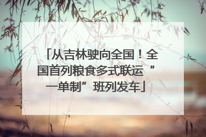 从吉林驶向全国！全国首列粮食多式联运“一单制”班列发车