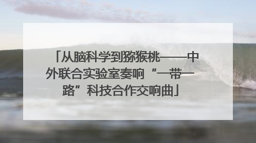 从脑科学到猕猴桃——中外联合实验室奏响“一带一路”科技合作交响曲