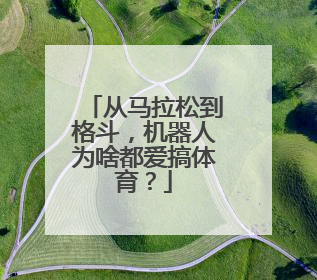 从马拉松到格斗，机器人为啥都爱搞体育？