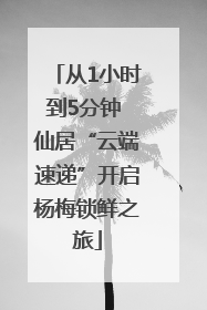 从1小时到5分钟 仙居“云端速递”开启杨梅锁鲜之旅