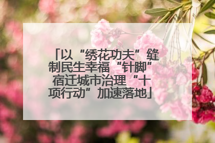 以“绣花功夫”缝制民生幸福“针脚” 宿迁城市治理“十项行动”加速落地