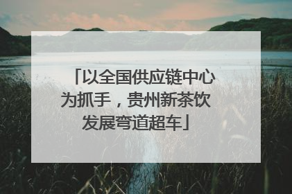 以全国供应链中心为抓手，贵州新茶饮发展弯道超车
