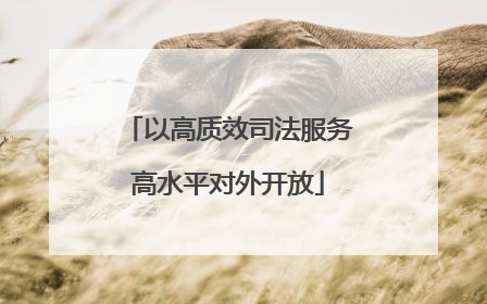 以高质效司法服务高水平对外开放