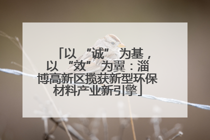 以 “诚” 为基，以 “效” 为翼：淄博高新区揽获新型环保材料产业新引擎