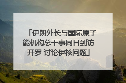 伊朗外长与国际原子能机构总干事同日到访开罗 讨论伊核问题