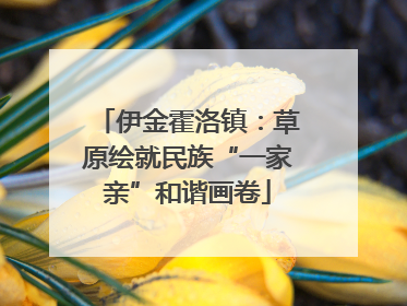 伊金霍洛镇：草原绘就民族“一家亲”和谐画卷