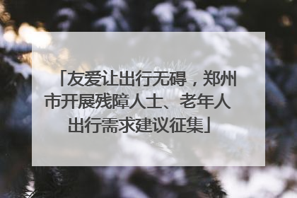 友爱让出行无碍，郑州市开展残障人士、老年人出行需求建议征集