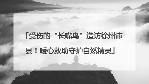 受伤的“长嘴鸟”造访徐州沛县！暖心救助守护自然精灵