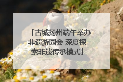 古城扬州端午举办非遗游园会 深度探索非遗传承模式