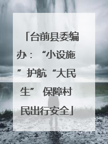 台前县委编办：“小设施”护航“大民生” 保障村民出行安全