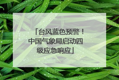 台风蓝色预警！中国气象局启动四级应急响应