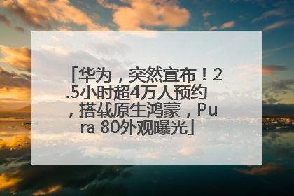 华为，突然宣布！2.5小时超4万人预约，搭载原生鸿蒙，Pura 80外观曝光