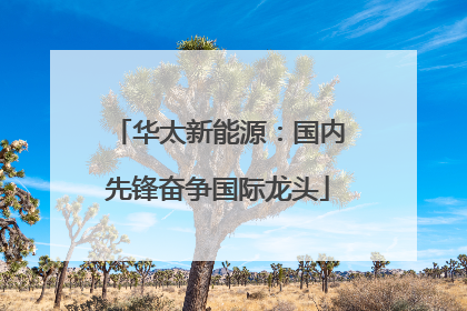 华太新能源：国内先锋奋争国际龙头