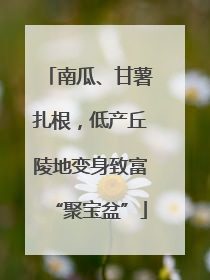 南瓜、甘薯扎根，低产丘陵地变身致富“聚宝盆”
