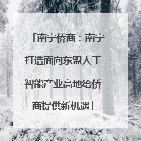 南宁侨商：南宁打造面向东盟人工智能产业高地给侨商提供新机遇