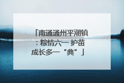 南通通州平潮镇：粽情六一 护苗成长多一“典”