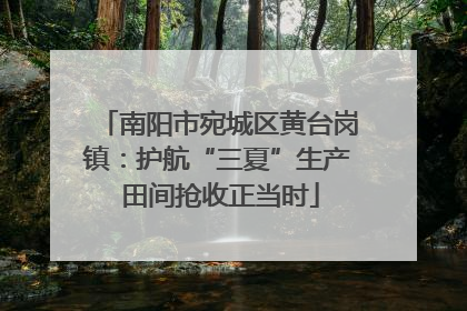 南阳市宛城区黄台岗镇：护航“三夏”生产 田间抢收正当时
