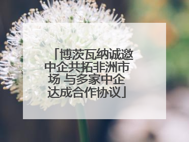 博茨瓦纳诚邀中企共拓非洲市场 与多家中企达成合作协议
