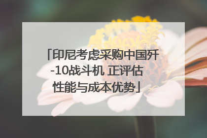 印尼考虑采购中国歼-10战斗机 正评估性能与成本优势