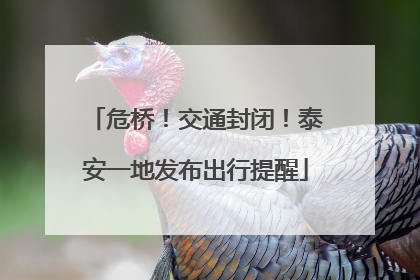 危桥！交通封闭！泰安一地发布出行提醒