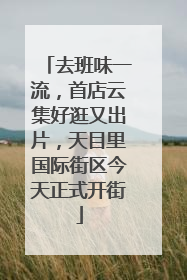 去班味一流，首店云集好逛又出片，天目里国际街区今天正式开街