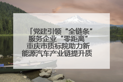 党建引领“全链条” 服务企业“零距离” 重庆市质标院助力新能源汽车产业链提升质量管理水平