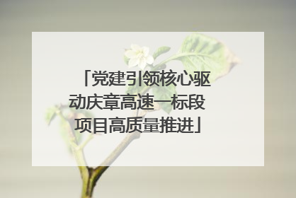 党建引领核心驱动庆章高速一标段项目高质量推进