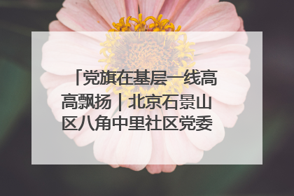 党旗在基层一线高高飘扬｜北京石景山区八角中里社区党委：用脚步丈量民生