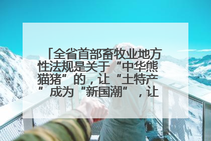 全省首部畜牧业地方性法规是关于“中华熊猫猪”的，让“土特产”成为“新国潮”，让“农产品”升格为“城市IP”