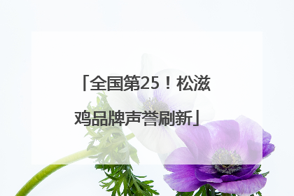 全国第25！松滋鸡品牌声誉刷新