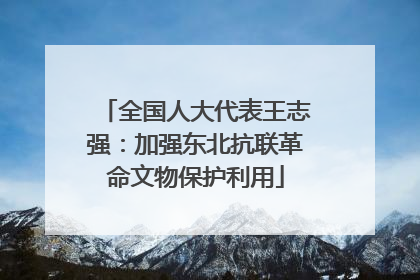 全国人大代表王志强：加强东北抗联革命文物保护利用